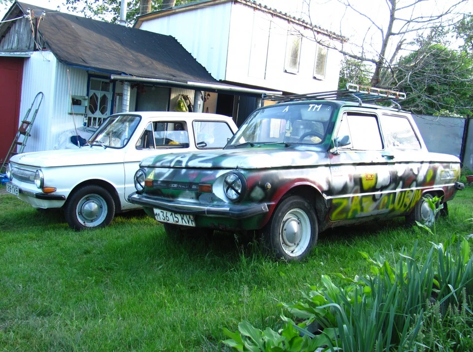 фотки на природі)