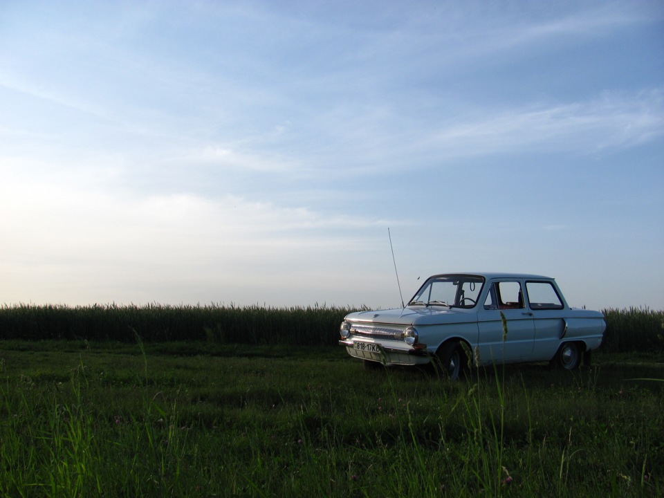 фотки на природі) 2