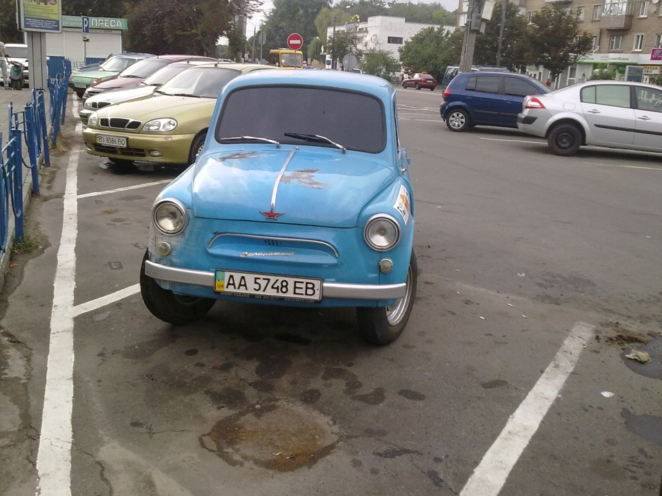 Горбатий і Ушасткік) 2