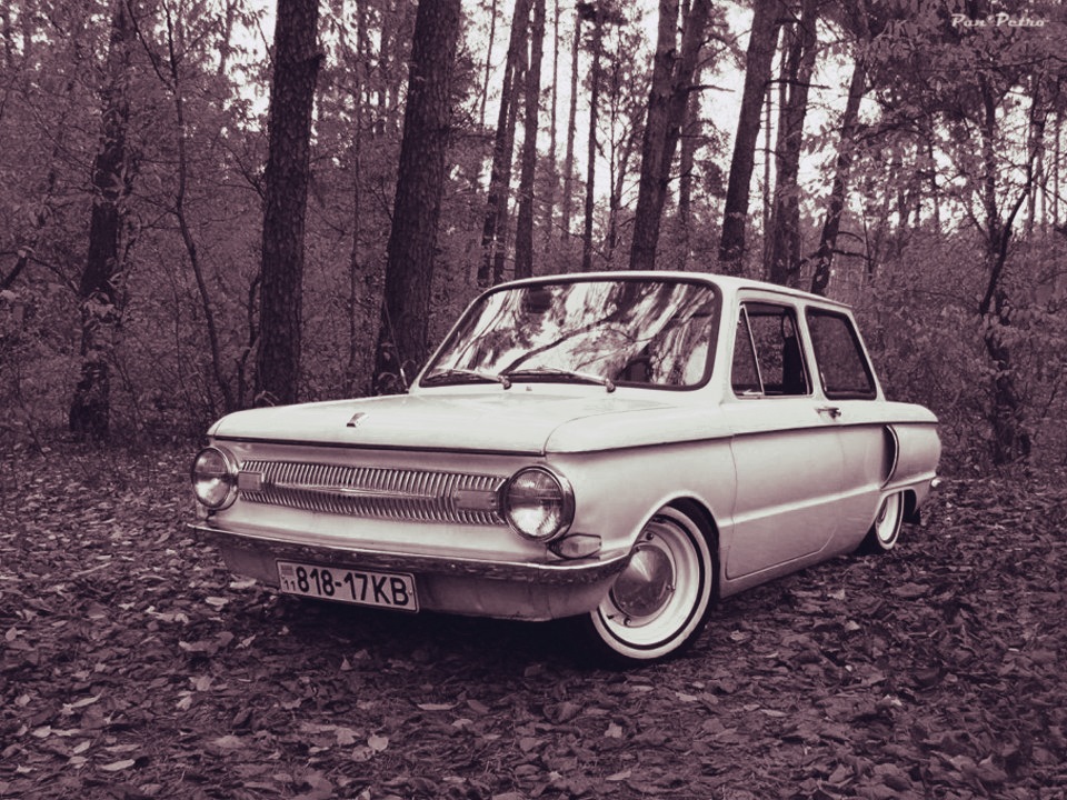 Low zaz 1