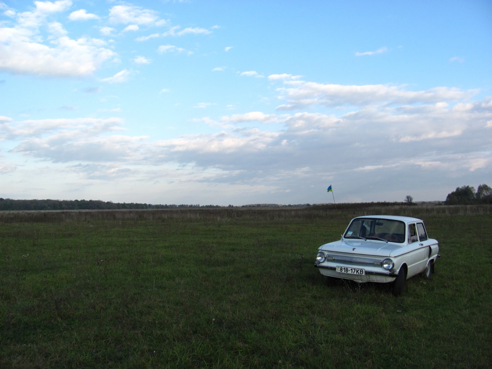 у лісі) 1