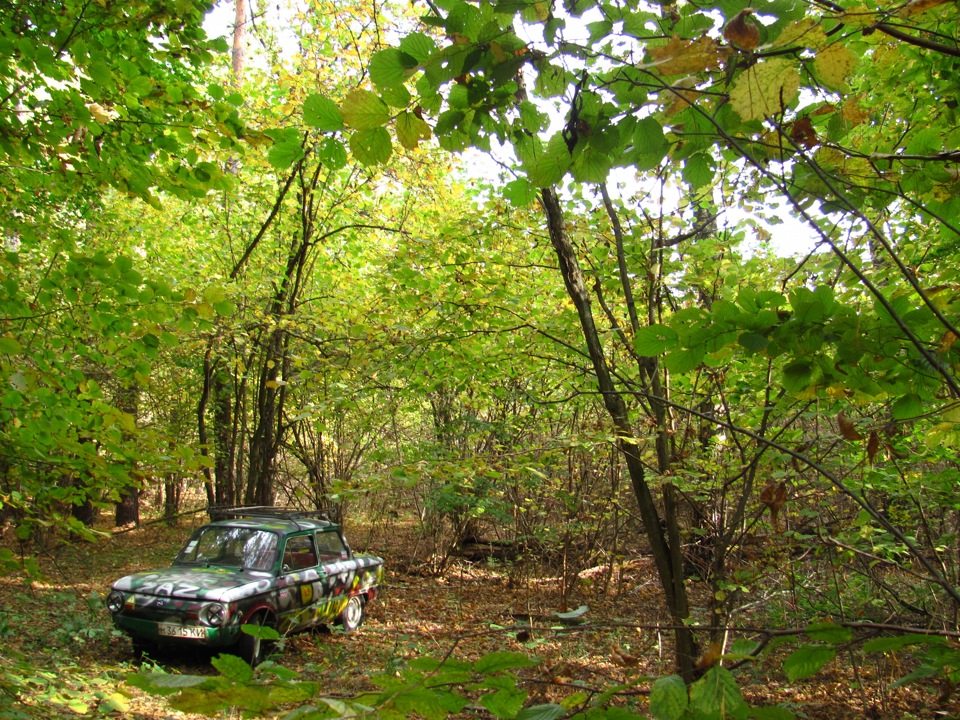 у лісі) 2