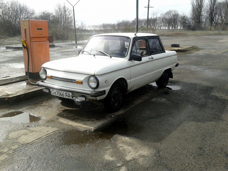 Покотушки 3