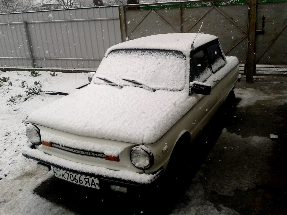 Покотушки