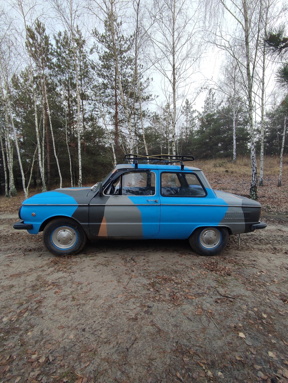 Поїздка до лісу 4