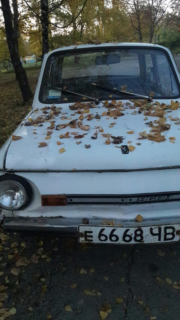 донор для Zaporsche968a 2