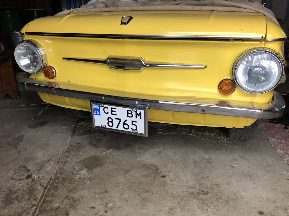 license plates 4