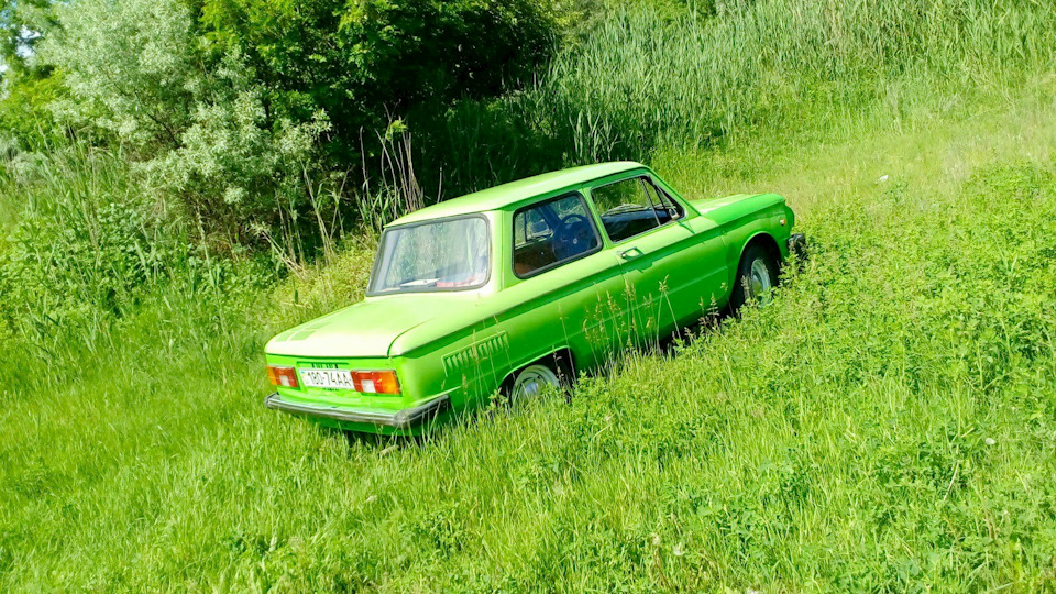 Пофоткал На Природе 4