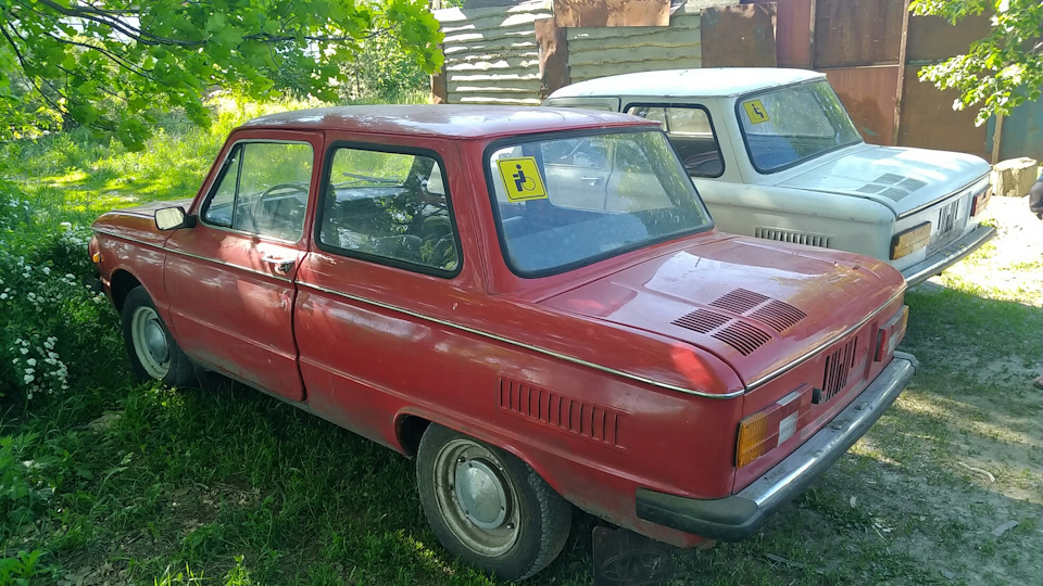 Трохи не забув) купив донора! 3