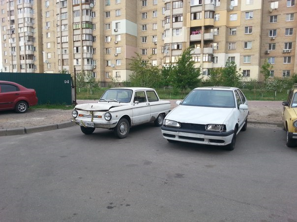 Як купиви Жужу 1