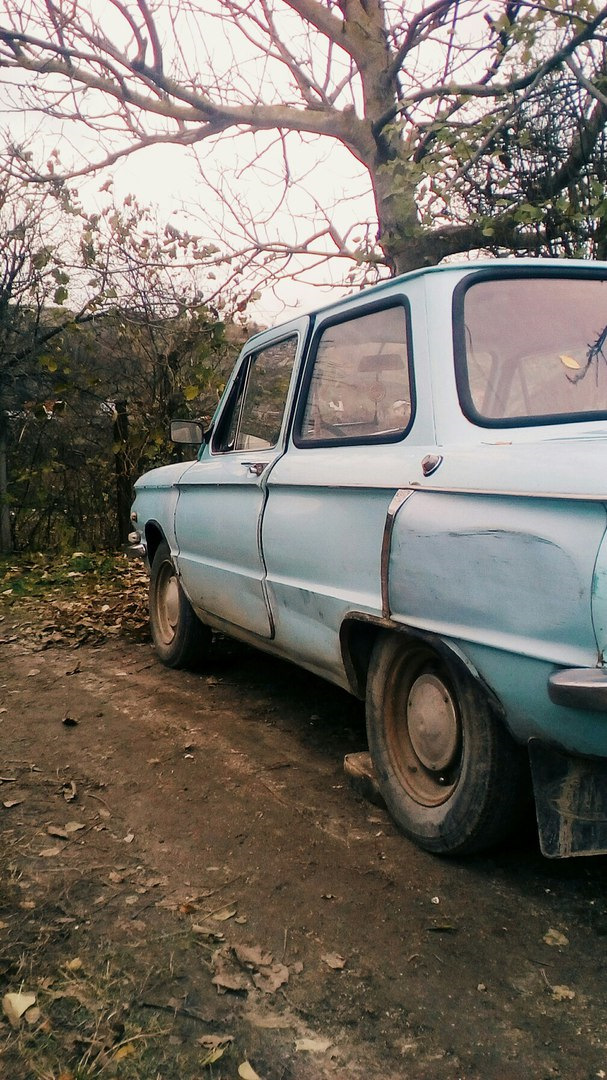 Жужа продана 1