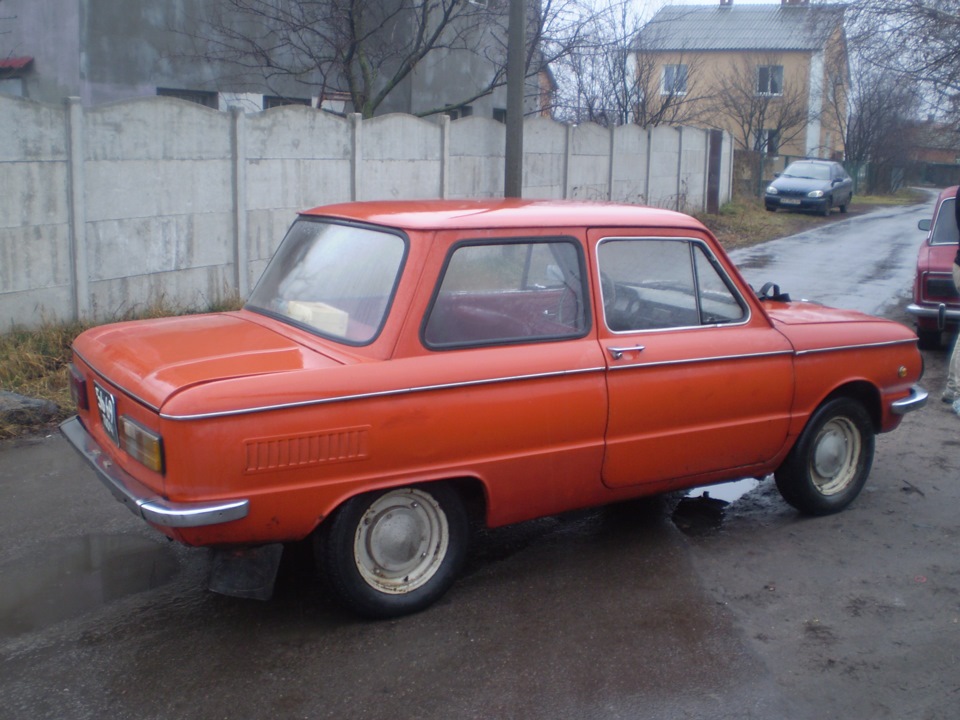 Покупка Жужі 2
