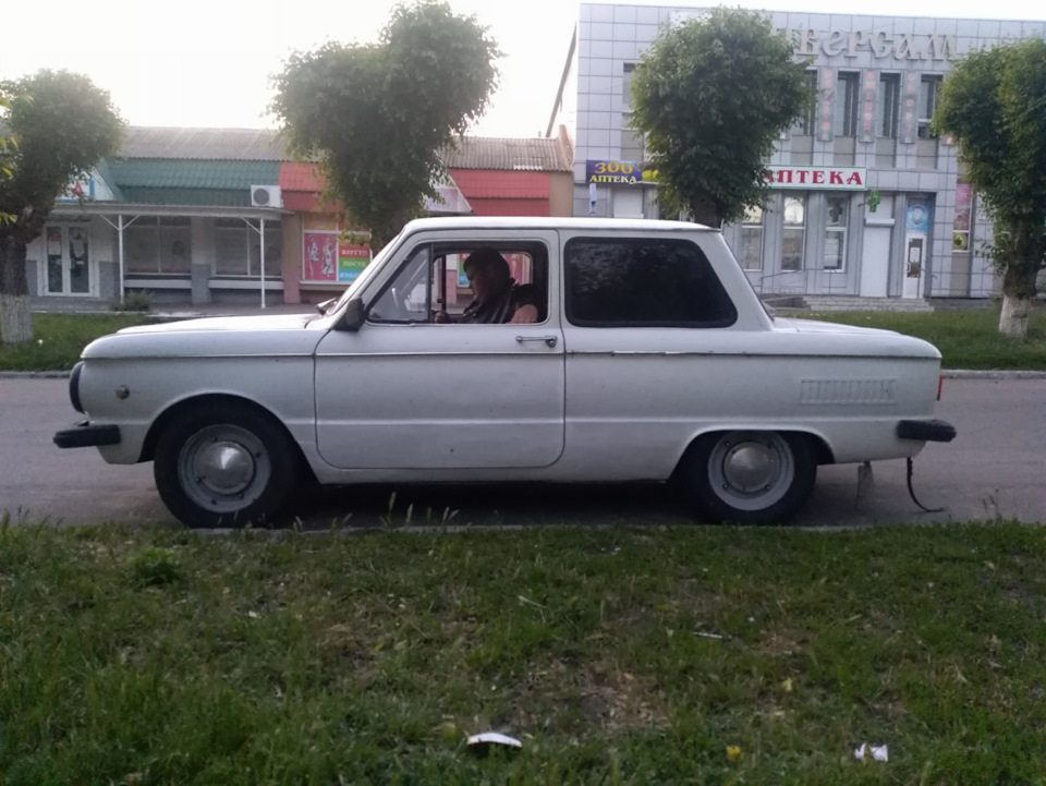 Чергові покотушки 4