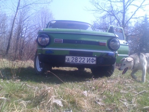 Різні фотки 1
