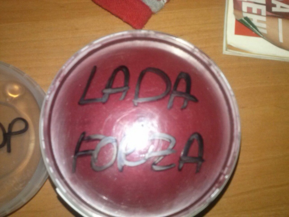 підбірка фарби та новий автомобіль LADA FORZA) 1