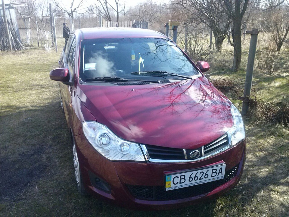 помив красуню) 1