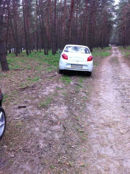 Д2 на пікничку!) 3