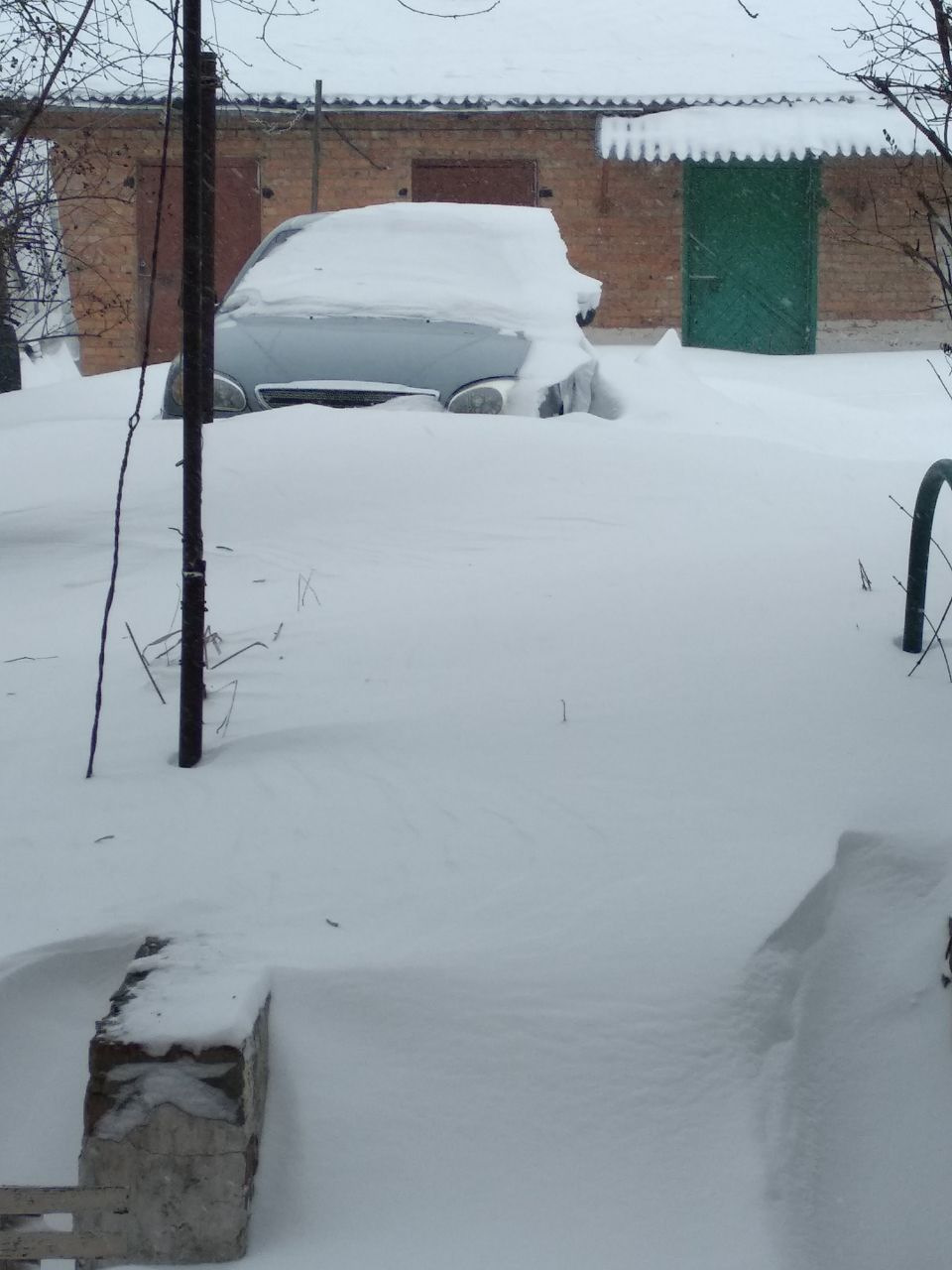 #21 Зимівка… 2