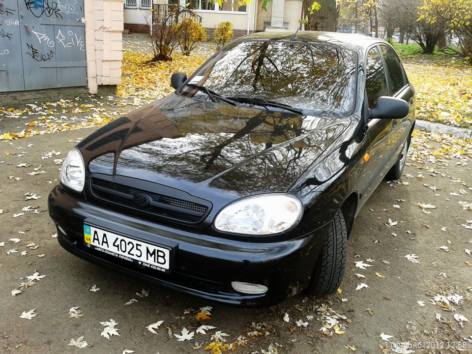 Пофарбував ґрати! 2