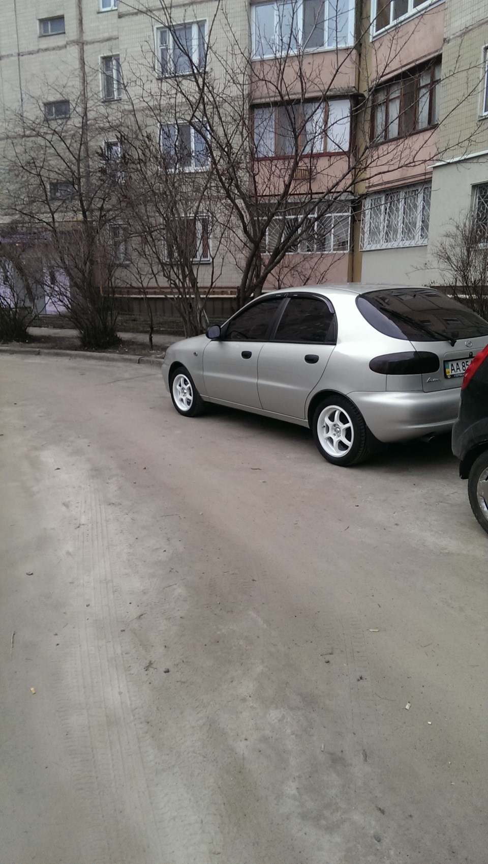 Радості немає межі ... 1