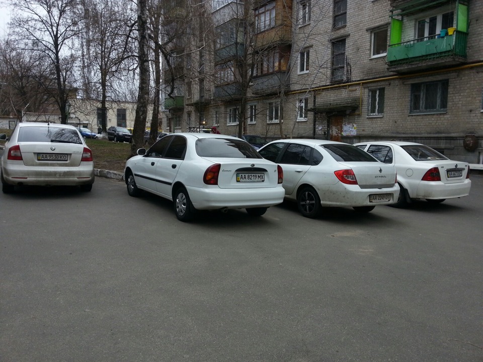Беляші рулять =)) 1