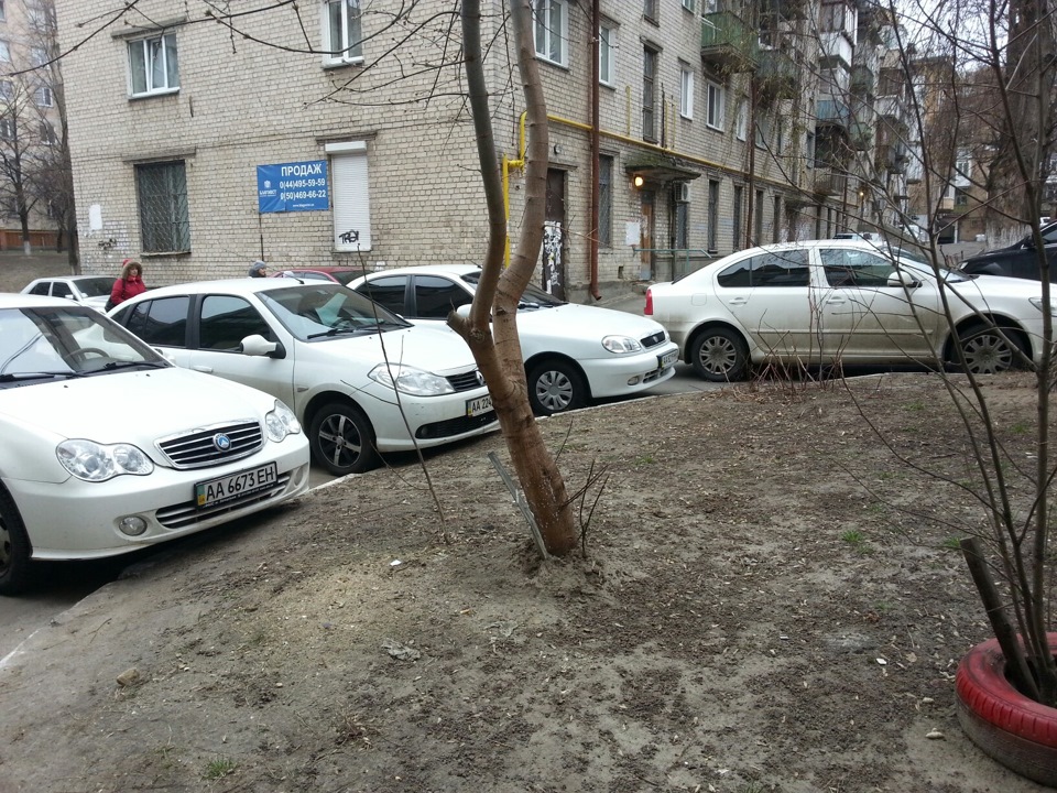 Беляші рулять =)) 2