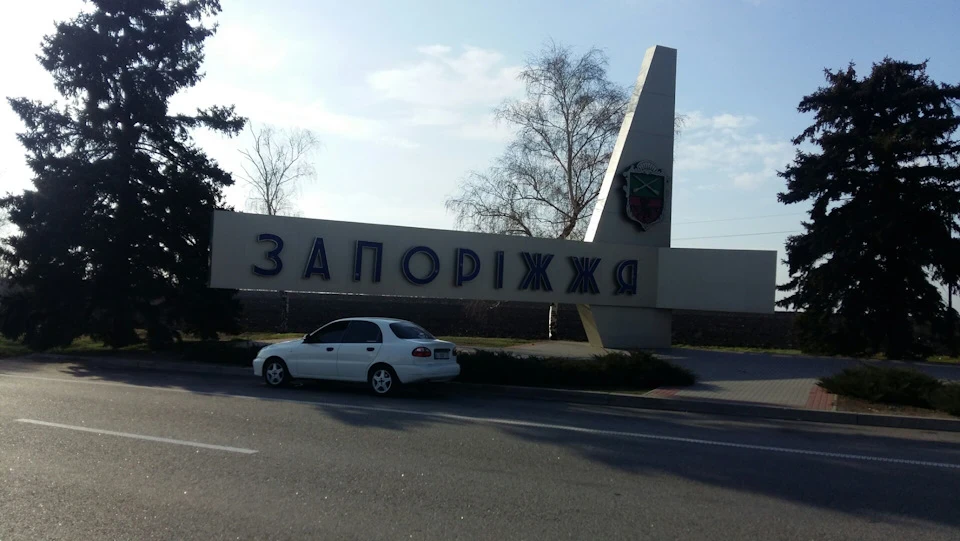 Пауза дворняг