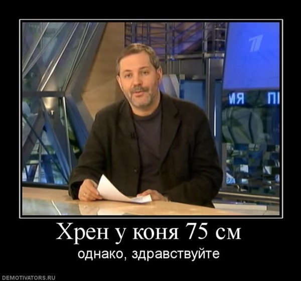 Чип, стронгери, і не великий нештячок 1