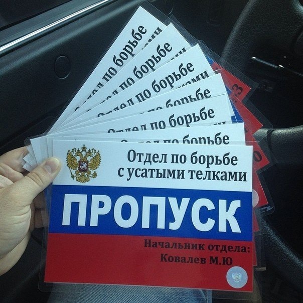 Для розваги 1