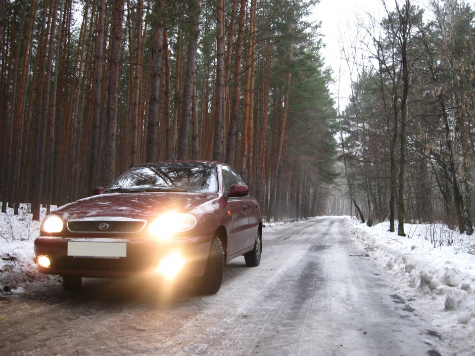 Зимовий ліс 4