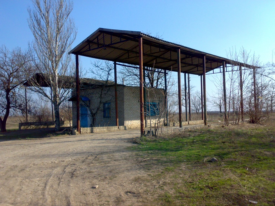 На природі... 4