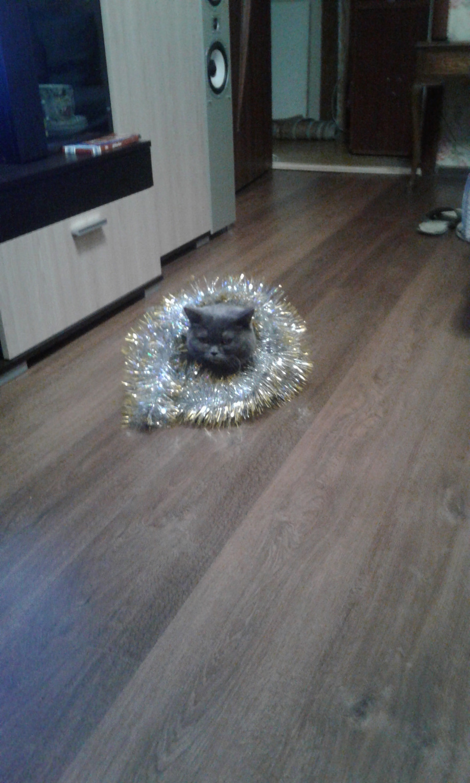 До нового року готовий. 4