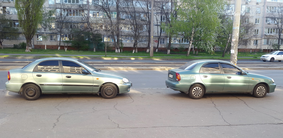 Колір сріблястий бамбук 1