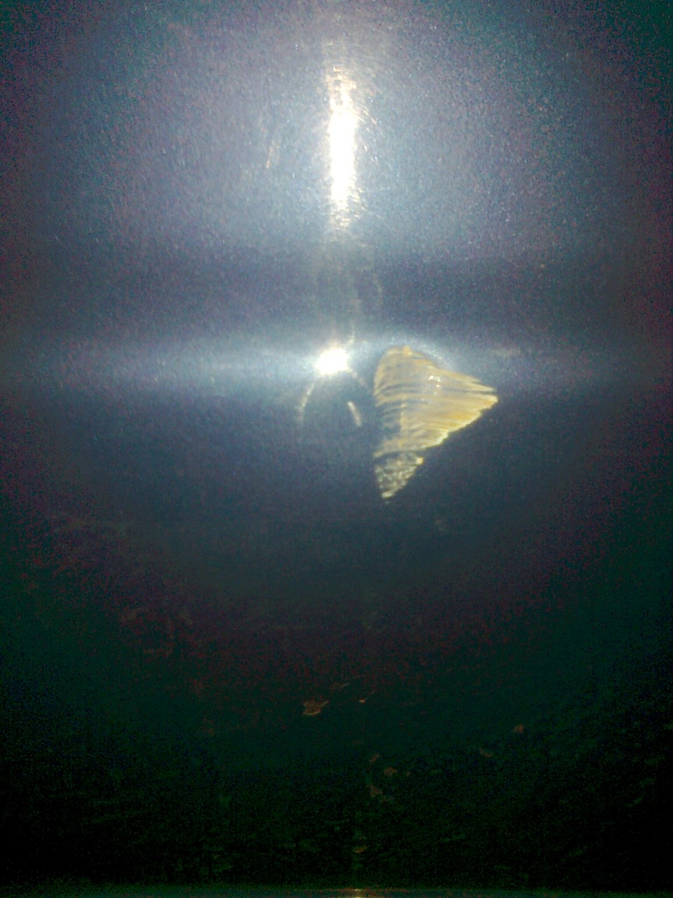 Притерли( 1