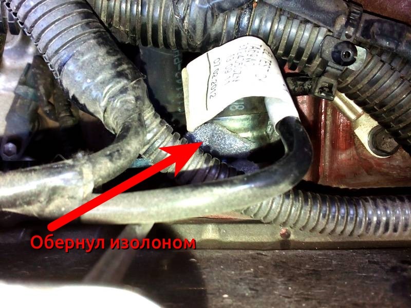 Впіймав двох Цвіркунів 5