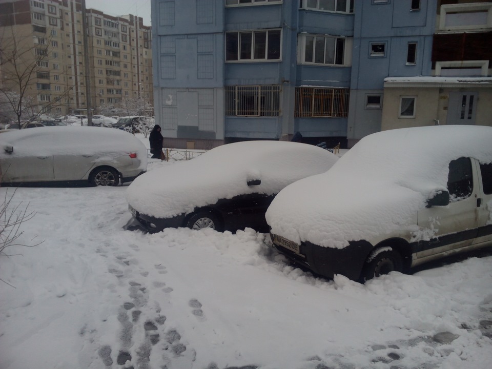 А ось і сніг(( 5