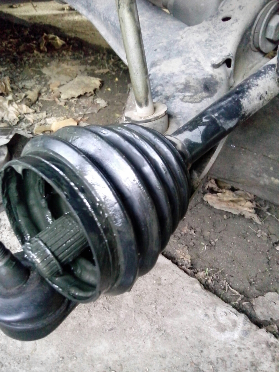 Потрібна порада з пиляків шрусу 1