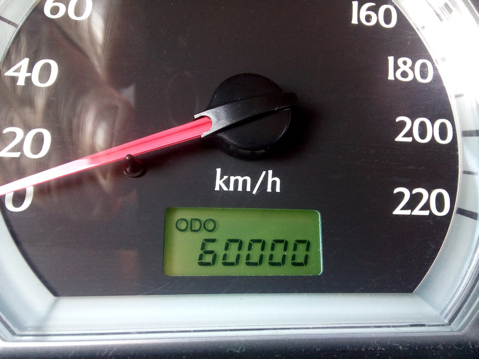 60000 тиць. Політ нормальний! 1