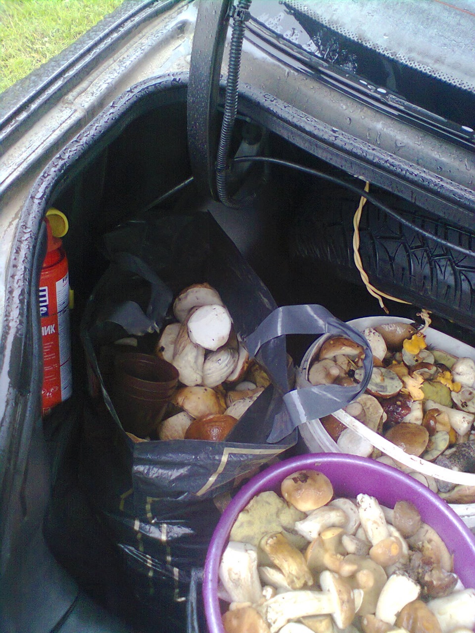 Поїздки на природу! 2