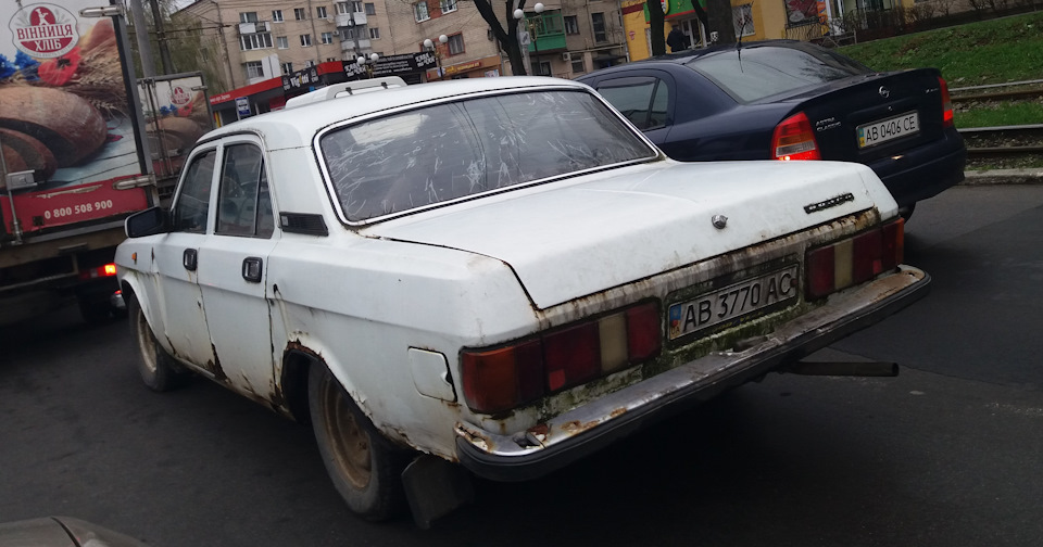 Волга покрилася мохом 1