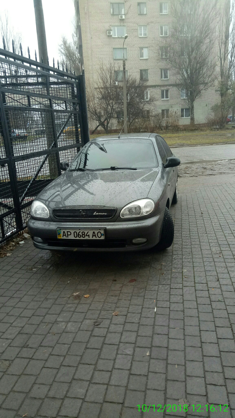 Закотив лоб 5