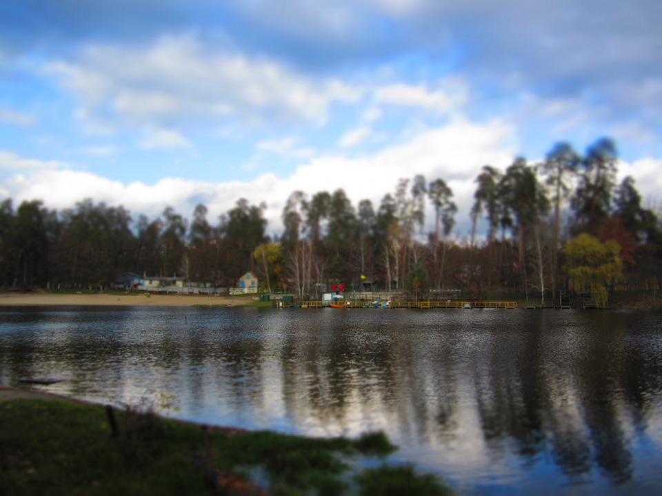 Пущанський ліс) 5