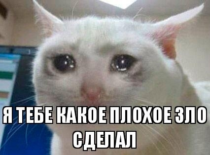 Спека! Закипаю не тільки я. 1