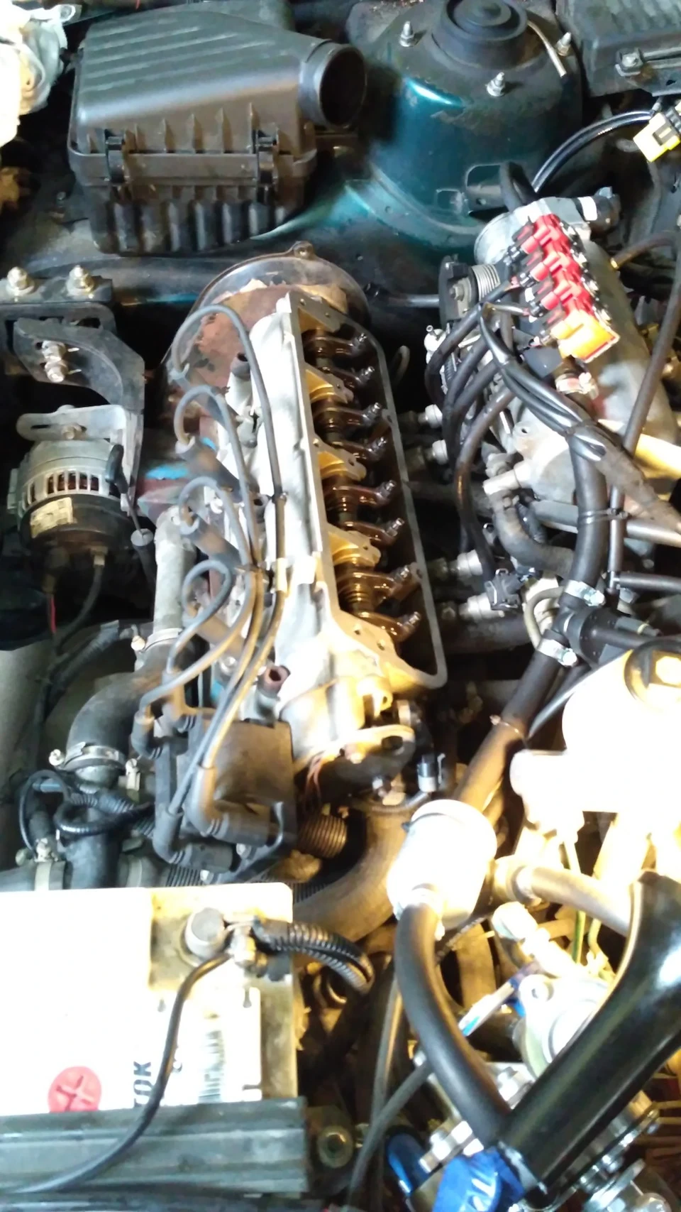 Тригалася Сеня. Не було більше сил!