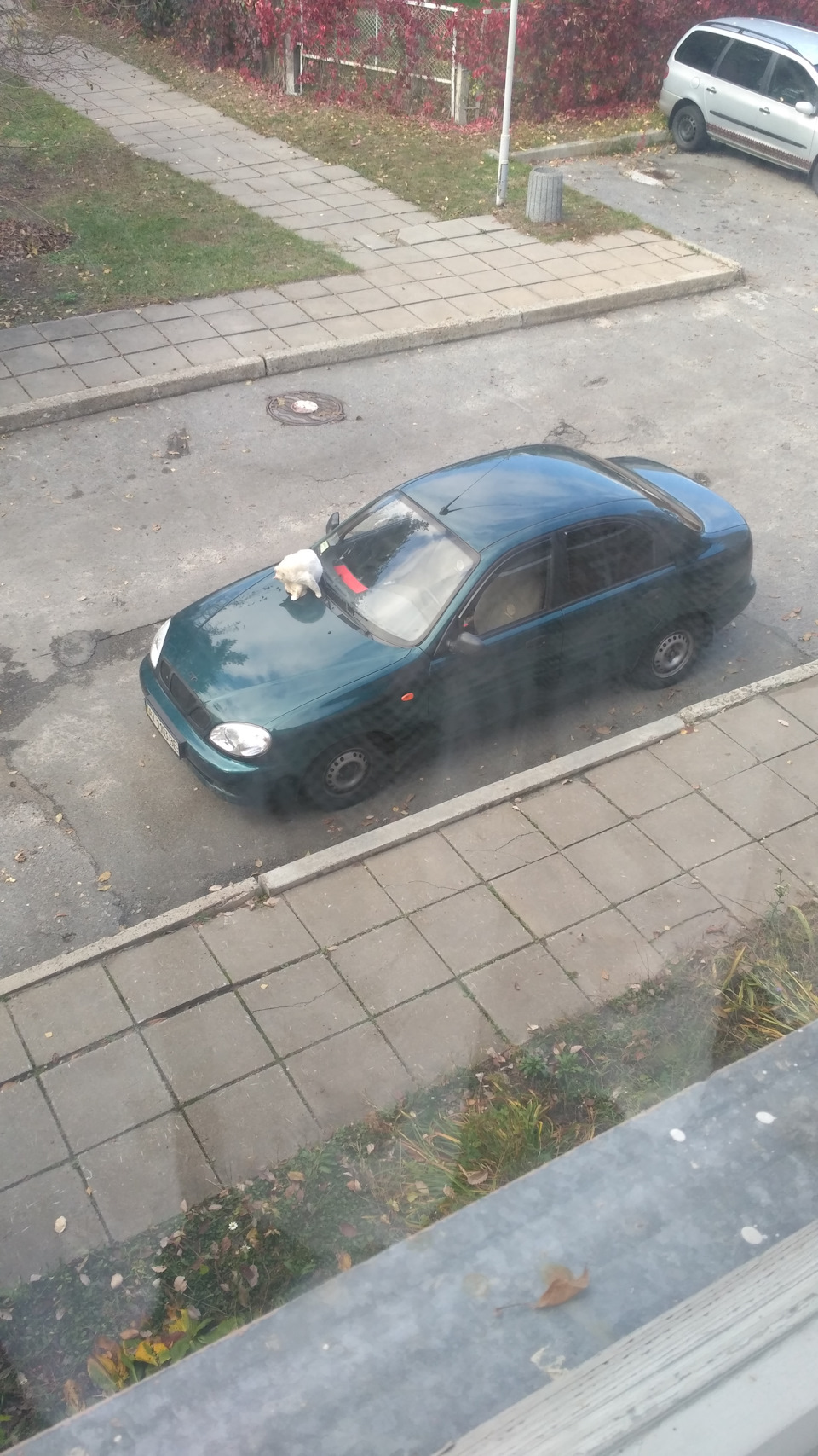 Неприємність з підсвічуванням багажника та її усунення 3