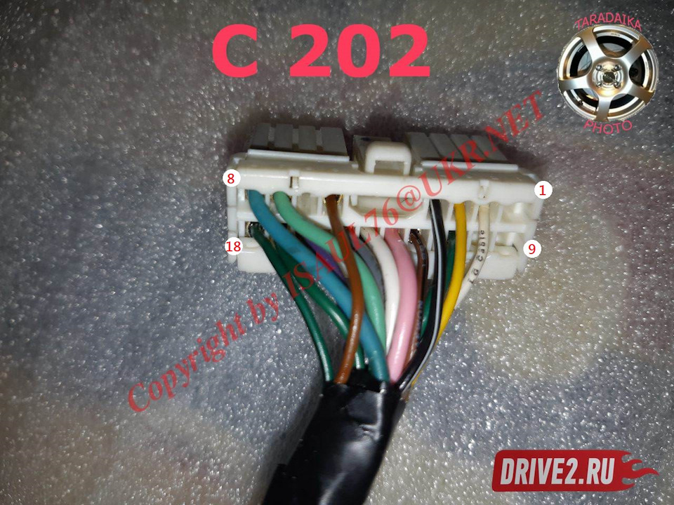 Роз'єм С202 2