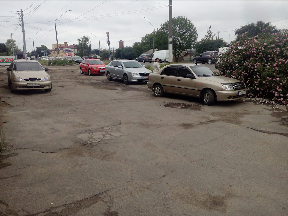 Троє із Запоріжжя однакових з лиця 2