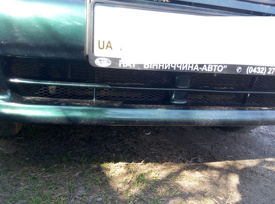 Сіточка в бампер. Захист радіатора 4