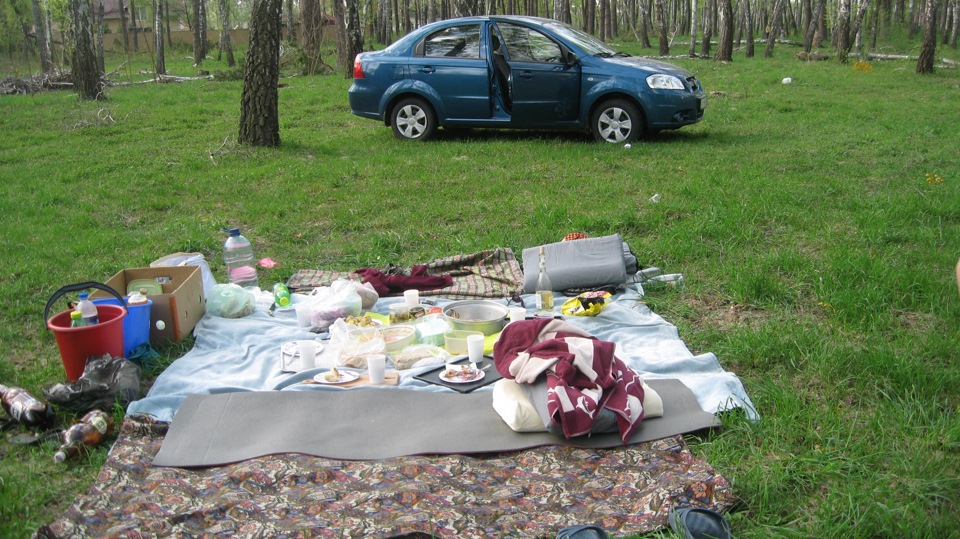 Вірна подруга в дальній дорозі, поганому асфальті, весняному лісі... 1