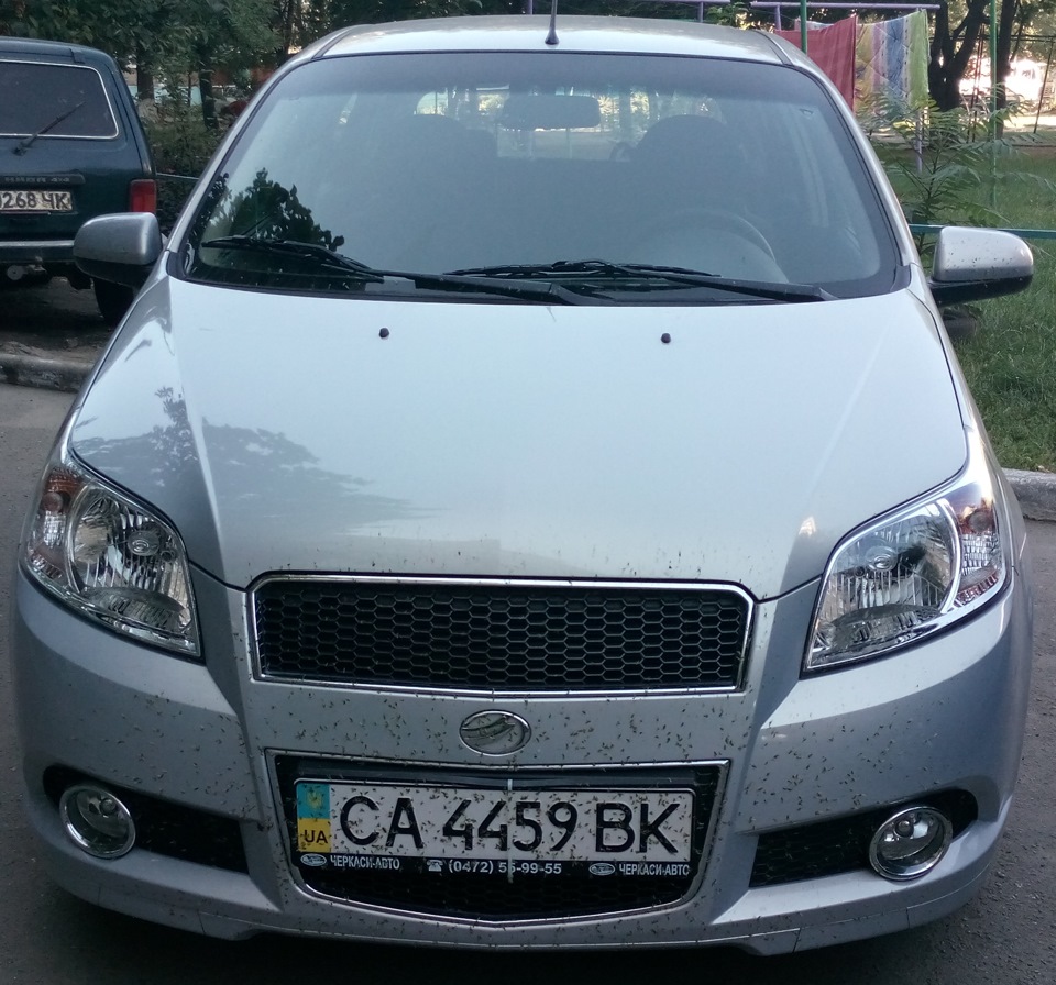 Мошкара атакує 1